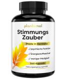 360 St. John's Wort Capsules - 1000mg Johanniskraut Extract with GABA & L-Tryptophan | High-Dose Plant-Based Mood Support - Buy Online on GoSupps.com