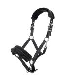 HKM Nylon Halter with Glitter & Polar Fleece Padding for Black Warmbloods - Premium Quality International Shipping - Buy Online on GoSupps.com