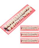 4 Sets Acrylic Resin Fake Teeth Dental Denture False Teeth Teeth Upper and Lower Synthetic Resin Teeth for Replacement, 112 Pieces, 23 A2 - Buy Online on GoSupps.com