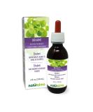 Naturalma Brahmi (Bacopa monnieri) Herb Alcohol-Free Tincture 4 fl oz | Liquid Extract Drops | Vegan Herbal Supplement from Italy - Buy Online on GoSupps.com