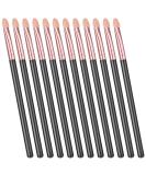 Sibba 12-Piece Party Eyeshadow Brush Set | Double-Sided Sponge Applicators & Beauty Blender for Glitter & Cream | Oval Rose Gold Handles - Buy Online on GoSupps.com