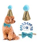 Dog Birthday Hat & Collar Set - Reusable Light Blue Party Accessories for Pets - Perfect for Puppies & Cats - Buy Online on GoSupps.com