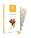 Flexi-Turmeric For Dogs | Healthspan | 120 Tablets | Vitamin C & Brewers Yeast | 400mg High-Grade Turmeric | Pet Health - Buy Online on GoSupps.com