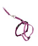 PetSafe Come with Me Kitty Harness & Bungee Leash - Dusty Rose/Burgundy - Perfect Fit for Small Cats - International Shipping Available - Buy Online on GoSupps.com