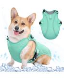 Kuoser Cool Vest for Dogs | Cooling Jacket & Coat for Outdoor Activities | Ventilated Dog Cooling Vest in Green - Buy Online on GoSupps.com