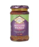 Pataks Hot Lime Pickle - 10 Ounce Jar | Spicy and Tangy Indian Condiment - Buy Online on GoSupps.com