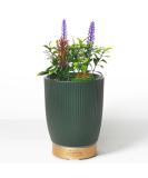 Earnest Living Essential Oil Diffuser - Ceramic Succulent Pot 100ml Night Light Timer & Auto-Off Function for Lavender Aromatherapy - Buy Online on GoSupps.com