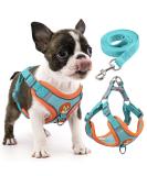 Rennaio No Pull Dog Harness & Leash Set for Small/Medium Dogs - Adjustable Ultra Comfortable with Puppy Dishes & Clips - Seeblau S - Buy Online on GoSupps.com