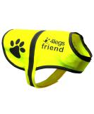 4Legriend Yellow Reflective Safety Vest for Dogs - 2 Pack Small | Keep Your Dog Visible & Safe from Cars & Hunting Accidents - Buy Online on GoSupps.com
