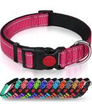 Taglory dog collar soft padded neoprene nylon dog collar for small dogs adjustable and reflective for training hot pink s (1 Pack) hot pink - Buy Online on GoSupps.com