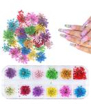 UNIME Dried Flowers for Nail Art - 12 Colors Mini Real Natural Flowers - 3D Nail Decoration Sticker - Gypsophila - Buy Online on GoSupps.com