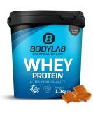 Bodylab24 Whey Protein Powder Toffee - 1kg | Premium Quality Protein for International Shipping - Buy Online on GoSupps.com