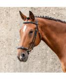 Buy SUNRIDE Hanoverian Bridle & Reins - Premium Leather for Relaxed Riding (Cob Black) | International Shipping Available - Buy Online on GoSupps.com