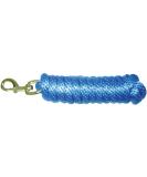 Hamilton Poly Leash with Snap Hook - Durable Blue Dog Leash for All Breeds | International Shipping Available - Buy Online on GoSupps.com