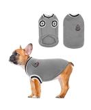 Cozy Winter Dog Sweaters & Coats | Soft Knitted Jackets for Small to XXL Dogs & Cats - Buy Online on GoSupps.com