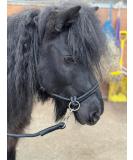 Rope headcollar with Reins for use of Bitless Horse Riding Full to Mini Shet 5 Colours (Black Mini Shetland) Mini Shetland Black - Buy Online on GoSupps.com