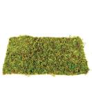 Komodo Small Natural Moss Mat for Reptiles - 2 Count - S - Buy Online on GoSupps.com