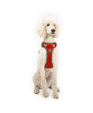 Embark Pets Adventure Dog Harness Medium - No Pull, Anti-Pull, Adjustable, Orange - Chest 60-77 cm - Buy Online on GoSupps.com