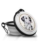 Dalmatian Portable Foldable Pet Bowl with Carabiner - Travel-Friendly Food & Water Bowl for Dogs - Buy Online on GoSupps.com