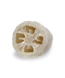 Buy Natural Loofah Sponge | Vegan & Plastic-Free Shower Scrub | Loofah Moments 22 cm - Buy Online on GoSupps.com