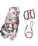 Buy Pettom Flower Pattern Cat Dishes & Adjustable Leash for Small to Medium Cats - Break-Proof & Stylish - International Shipping Available - Buy Online on GoSupps.com
