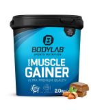 BODYLAB24 Pure Muscle Gainer Hazelnut-Cocoa 2kg | 40g Protein 33g Carbs 12g Fat | Ideal Weight Gainer Shake with Creatine for Mass Gain - Buy Online on GoSupps.com