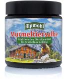 Murmount Ointment Alp Well 100 ml - Soothing Relief for Skin Conditions | Fast International Shipping - Buy Online on GoSupps.com