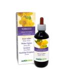 Buy Small-Flowered Royal Candle (Thapsus Verbascum) Liquid Extract - Vegan Alcohol-Free Dietary Supplement 200ml - International Shipping Available - Buy Online on GoSupps.com
