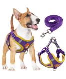 Rennaio No Pull Dog Harness & Leash Set - Adjustable Puppy Harness with 2 Linen Clips for Small & Medium Dogs - Ultra Comfortable - Purple XL - Buy Online on GoSupps.com