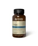 Nature's Sunshine CoQ10 - 60 Softgel Capsules for Heart Health | Premium Quality Supplements for Energy & Wellness - Ship Internationally - Buy Online on GoSupps.com