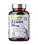 Biophix R-Lipoic Acid 300 mg - High Potency Antioxidant Support with Biotin - 120 Non-GMO Gluten Free Veggie Capsules for Energy Boost - International Shipping Available - Buy Online on GoSupps.com