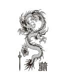 Supperb  Temporary Tattoos - Black & White Dragon (Set of 2) - Buy Online on GoSupps.com