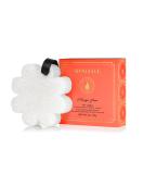 Spongell Boxed Flower Shower Gel Infused Body Buffer - Papaya Yuzu | Exfoliating Sponge - Buy Online on GoSupps.com