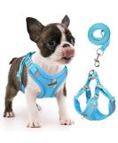 Rennaio Dog Harness No Pull - Adjustable Puppy Harness with 2 Leash Clips Breathable Padded Chest Harness & Leash Set for Small & Medium Dogs - Sky Blue (Size S) - Buy Online on GoSupps.com