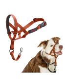 Halti Head Harness for Medium Dogs - Anti-Pull Leash Solution Light & Adjustable with Padded Nose Strap - Dark Orange (Size 2) - Buy Online on GoSupps.com