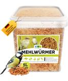 Mealworms dried 5 ltr.Insect snack for birds fish turtles rodents and reptiles EWL natural products mealworms 5 l (1 Pack) - Buy Online on GoSupps.com