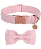 DogWong Hell-Pink Dog Collar with Removable Fly Adjustable & Comfortable for Small to Medium Dogs | Perfect Gift for Pet Lovers - Buy Online on GoSupps.com