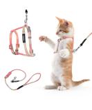 Adjustable Tiesome Cat Dishes with Leash & Collar Set - Color Gradient Kitten Dishes for Outdoor Walks (Orange & Yellow) - Buy Online on GoSupps.com