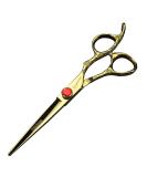 Golden Professional Hairdressing Scissors Set | 6 Inch & 7 Inch Cutting Tools for Hairdressers - Top Quality & International Shipping - Buy Online on GoSupps.com