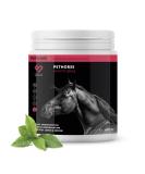 Peticare Detox-Mix Powder for Horses | Supports Liver Kidney & Intestinal Health | Natural Detoxification with Vegetables MSM & Vitamin B6 | Pethorse Health 400g - Buy Online on GoSupps.com