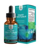 Natural Chlorophyll Liquid Drops for Water - Liquid Chlorophyll Mint Flavored for Digestive Support Bad Breath Gut Health Liver Support Whole Body Cleanse Anti Aging Skin Care and Immune Support 2oz - Buy Online on GoSupps.com