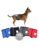 Sailing Trousers for Dogs 2.0 | High-Quality Neoprene Male Diapers - XS Gray - Optimal Air Exchange - Buy Online on GoSupps.com