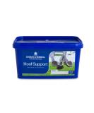 Dodson & Horrell See Description Dodson and Horrell Hoof Support Clear 3 kg Mint 3 kg (Pack of 1) - Buy Online on GoSupps.com