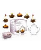 Creano Flowering Tea Abloom Tea - Flower Tea Ball Gift set with 500 ml Glass Tea Pot | Black tea Black/Silver - Buy Online on GoSupps.com
