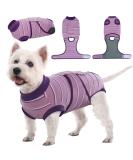 Kuoser Breathable Dog Recovery Suit | Post-Operative Body for Male & Female Dogs | Anti-Wound Protection & E-Collar Alternative | International Shipping Available - Buy Online on GoSupps.com