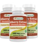 Buy Best Naturals Bilberry 1000 Mg - 90 Capsules (Pack of 3) for Eye Health | Fast International Shipping - Buy Online on GoSupps.com