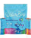 Waterboy Weekend Recovery Sample Pack | 3 200mg Electrolyte Powder | All Natural Gluten Free | 12 Sugar-Free Drink Mixes - Buy Online on GoSupps.com