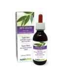 Naturalma White Willow Bark Tincture 4 fl oz - Alcohol-Free Liquid Extract | Vegan Herbal Supplement from Italy - Buy Online on GoSupps.com