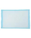 Medline Quilted Disposable Blue Underpad 23 x 36 - 50 Count | Incontinence & Furniture Protection - Buy Online on GoSupps.com