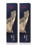 Buy 2x Wella Koleston Perfect ME+ 12/16 Special Blond Ash Violet - 60ml | International Shipping Available - Buy Online on GoSupps.com